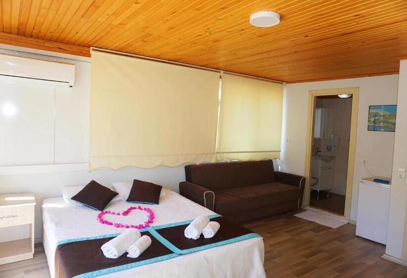 经典家庭房间, Cobanoglu Otel