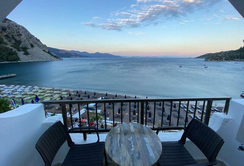 オーシャンビュースタンダードルーム, The Diplomat