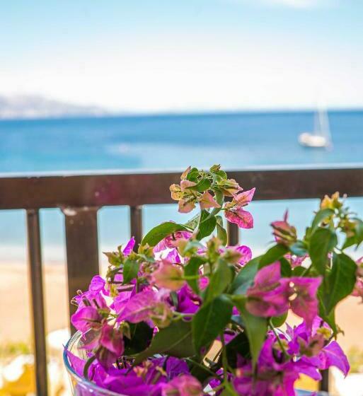 オーシャンビュースタンダードルーム, The Diplomat