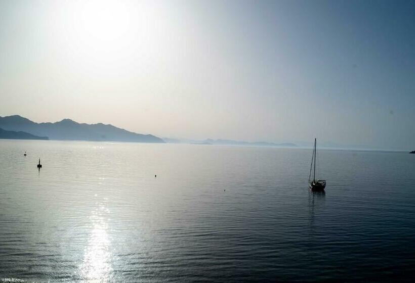 オーシャンビュースタンダードルーム, The Diplomat