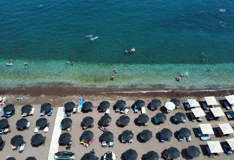 オーシャンビュースタンダードルーム, The Diplomat