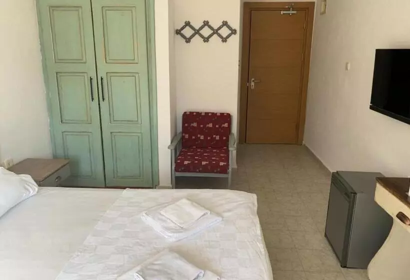 اتاق استاندارد با چشم‌انداز کوهستان, The Diplomat