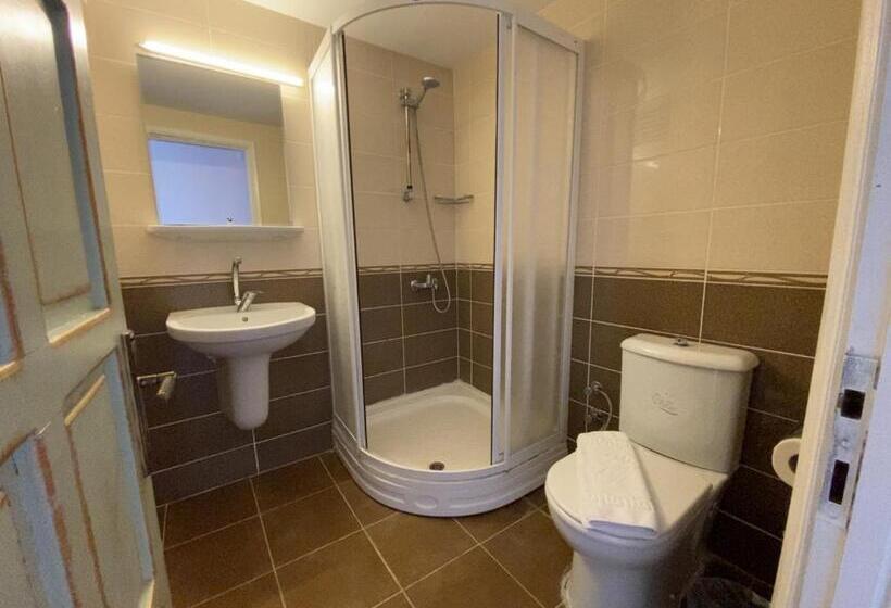 マウンテンビュースタンダードルーム, The Diplomat