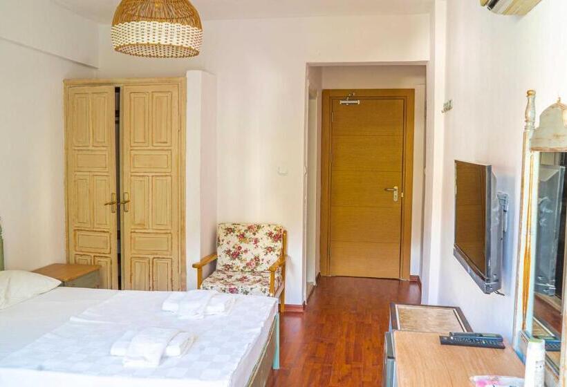 マウンテンビュースタンダードルーム, The Diplomat