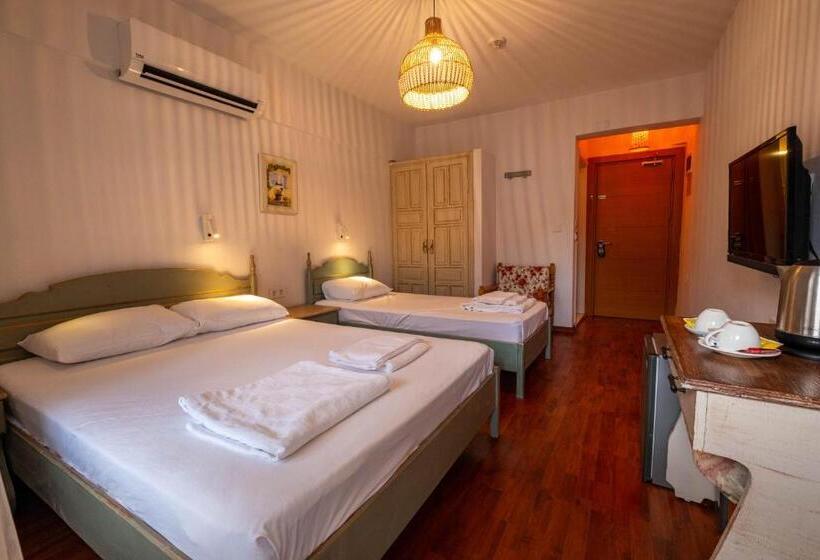 サイドオーシャンビューのトリプルルームスタンダード, The Diplomat