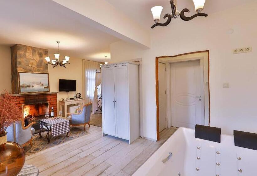 Номер Deluxe, Park Mandalin Hotel Adult Only