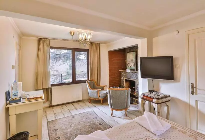 リバービュースタンダードルーム, Park Mandalin Hotel   Adult Only