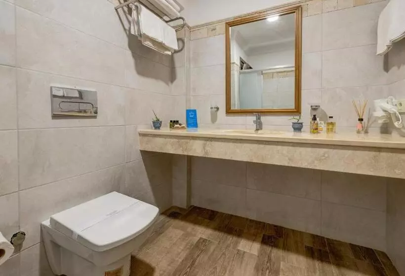 اتاق استاندارد با چشم‌انداز دریاچه, Surf Egitim Merkezi Oteli