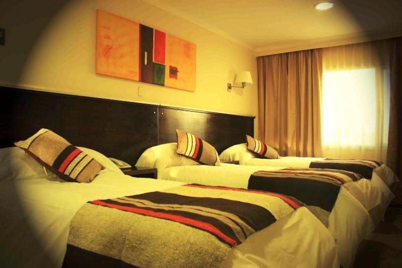 スタンダードトリプルルーム, Aire De Patagonia