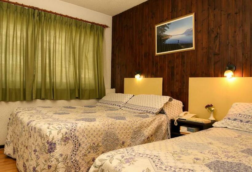 اتاق استاندارد سه نفره, M382 Hotel Bariloche