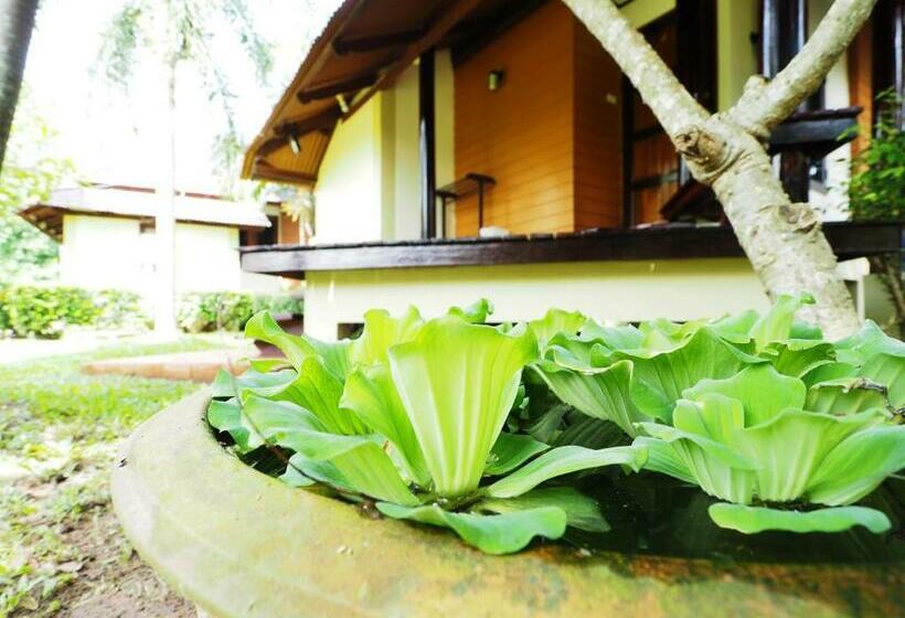 Бунгало Стандарт, Baan Pun Sook Resort