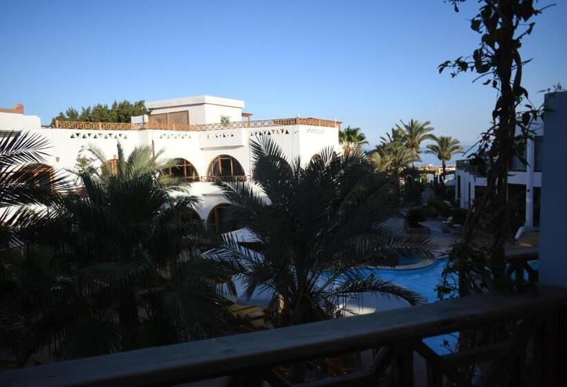 اتاق لوکس, Planet Oasis