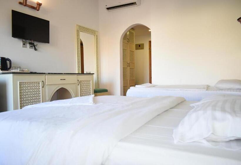 اتاق لوکس, Planet Oasis