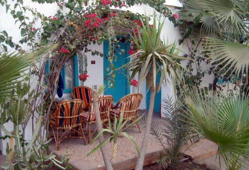 اتاق استاندارد با چشم‌انداز باغ, Planet Oasis