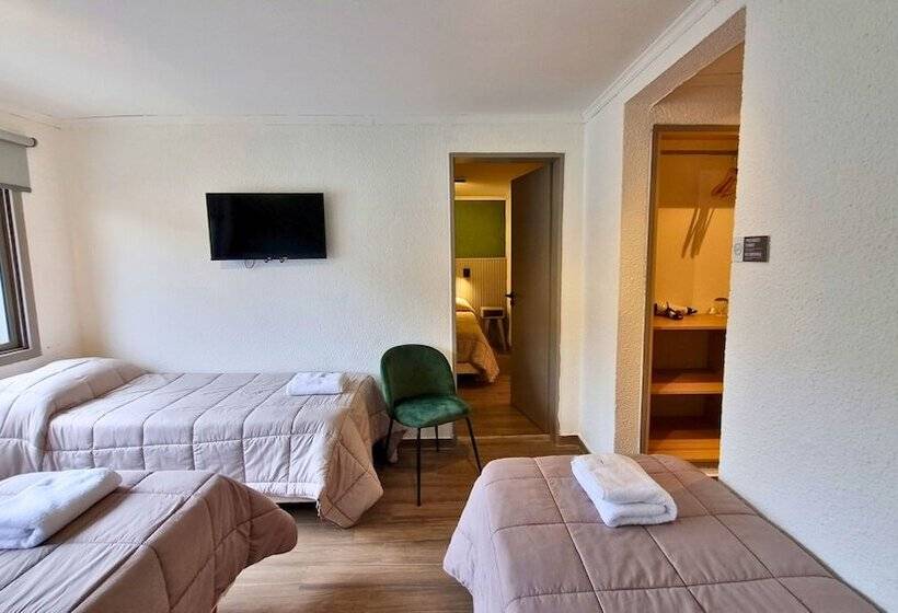 اتاق استاندارد چهار تخته, M382 Hotel Bariloche