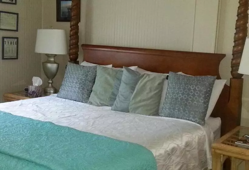 اتاق سوپریور با تخت بزرگ, Tybee Island Inn