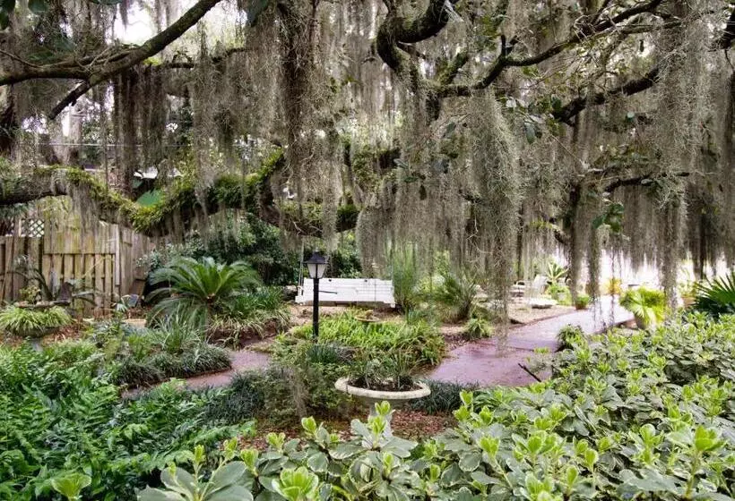 اتاق سوپریور با تخت بزرگ, Tybee Island Inn