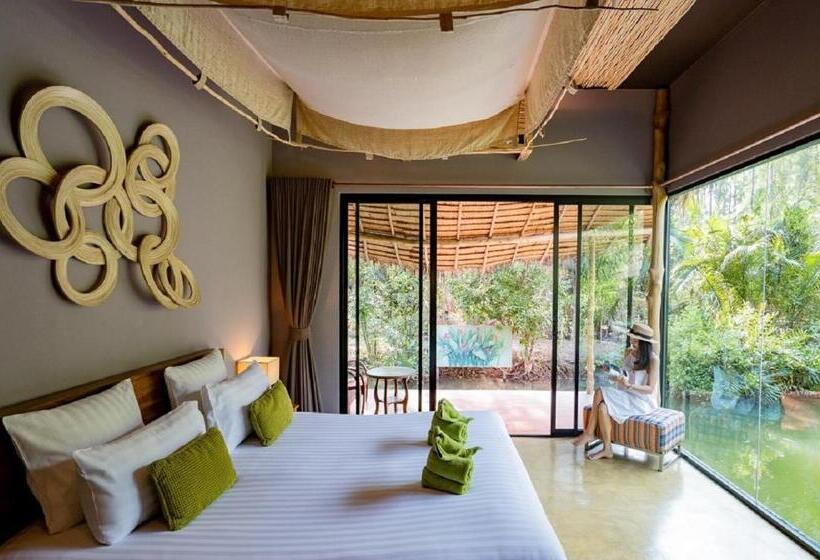 デラックスルーム, Asita Eco Resort