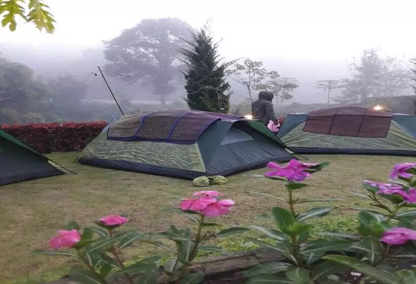 Standard Tent, Baan Chuthamanee