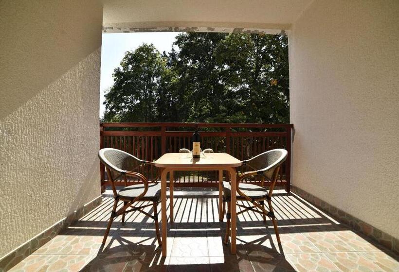 اتاق استاندارد با تراس, Sunce Inn
