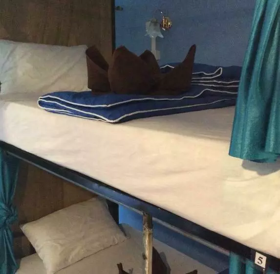 تختخواب در اتاق مشترک, Moovinn Garden Guesthouse