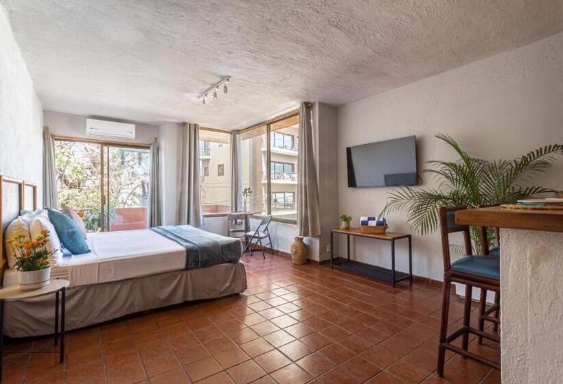 スタンダードスタジオ, Soy Local Puerto Vallarta