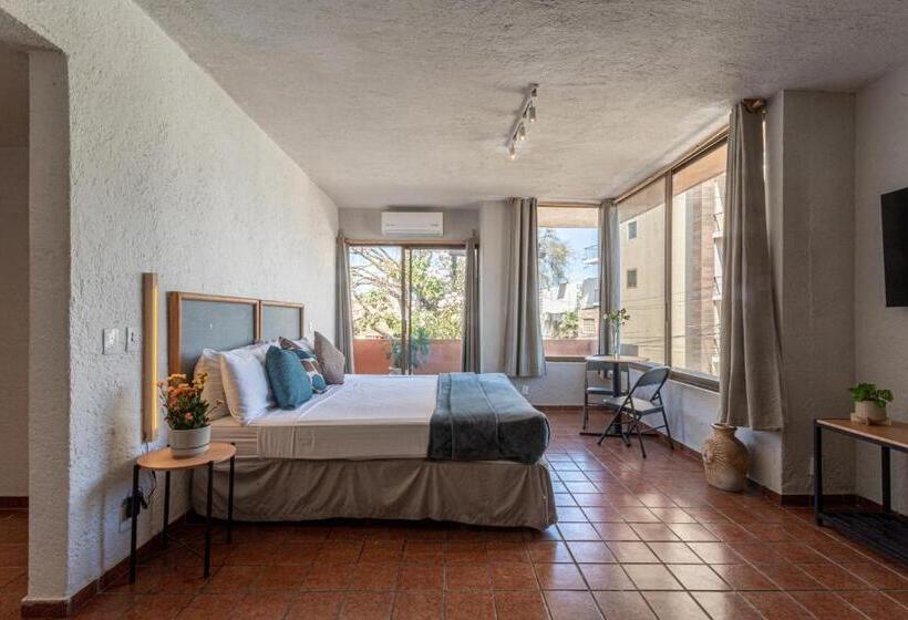 スタンダードスタジオ, Soy Local Puerto Vallarta