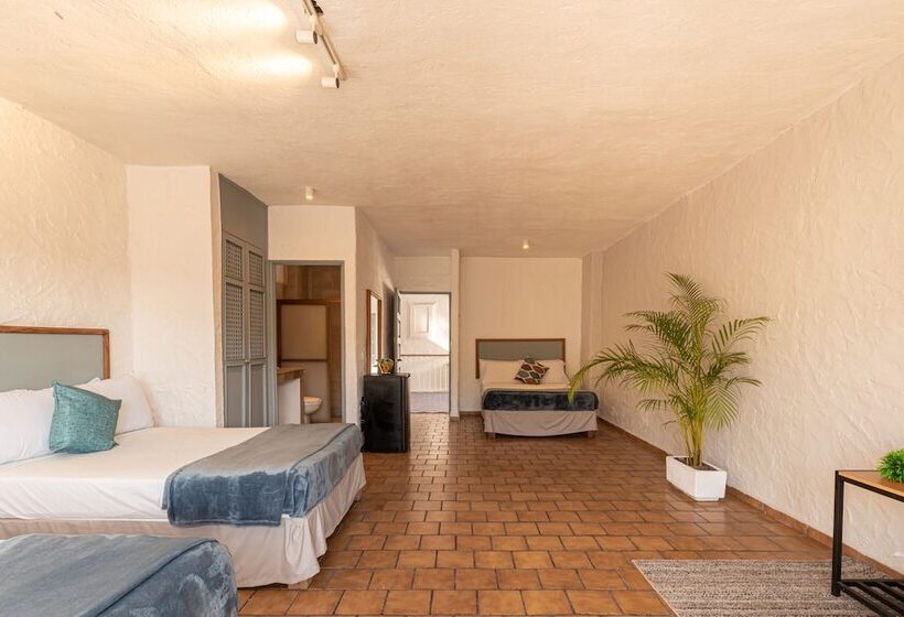 トリプルクラシックルーム, Soy Local Puerto Vallarta