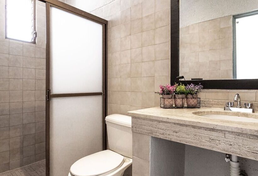 スタンダードルーム, Soy Local Puerto Vallarta