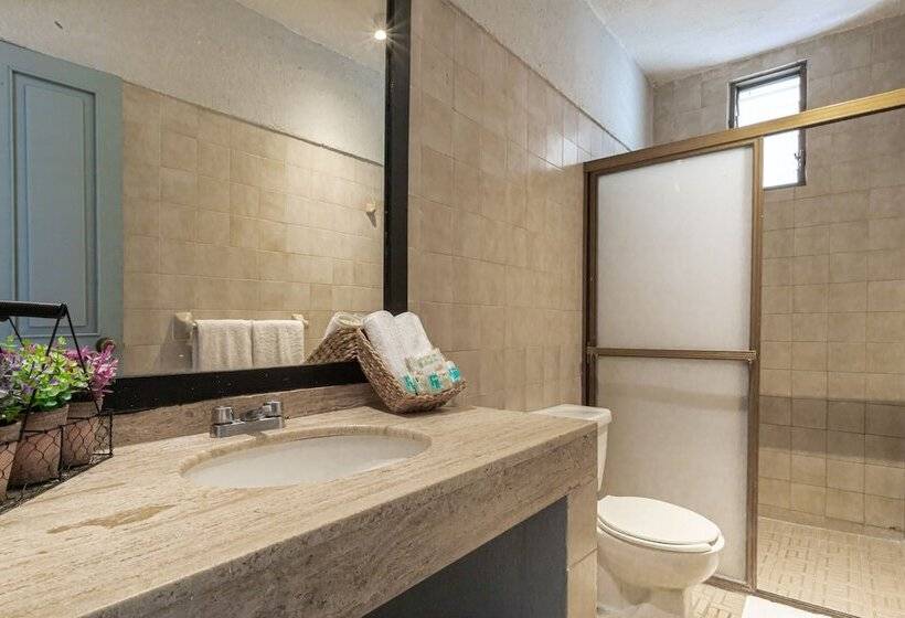 スタンダードルーム, Soy Local Puerto Vallarta