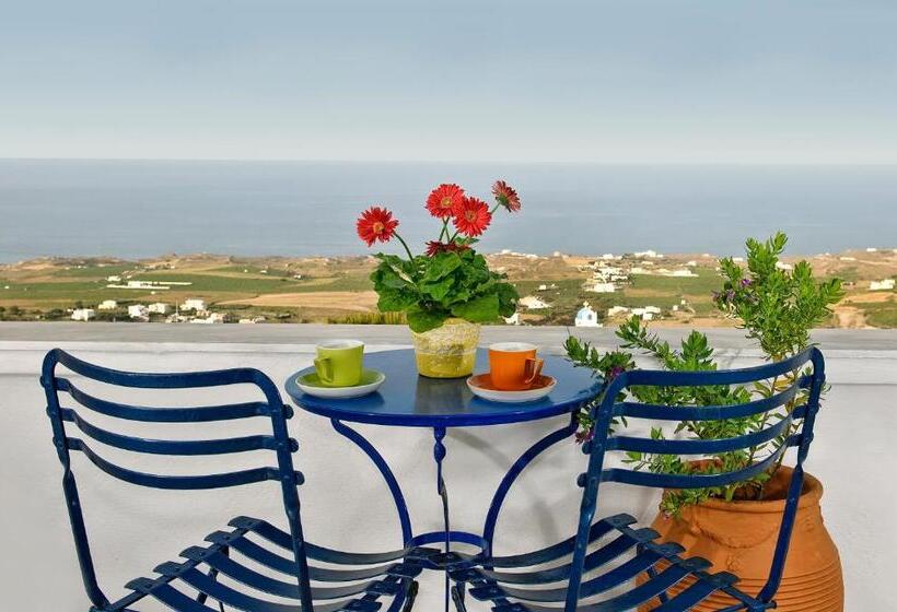 Superior Værelse, Afrodete