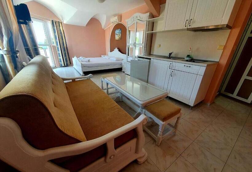 إستوديو قياسى مزودة بتراس, Family Hotel Paros 2