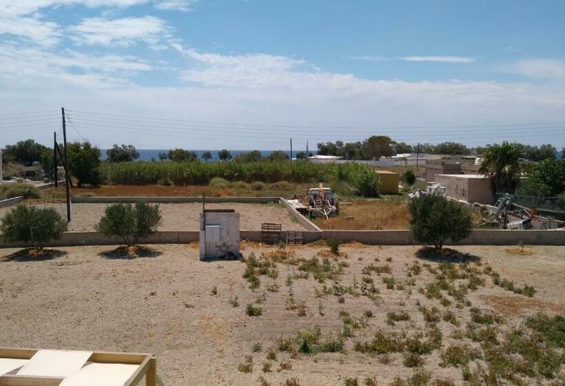 Junior Suite mit Meerblick, Daylight