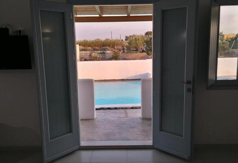 Standardzimmer mit Poolblick, Daylight