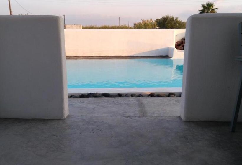 Standardzimmer mit Poolblick, Daylight