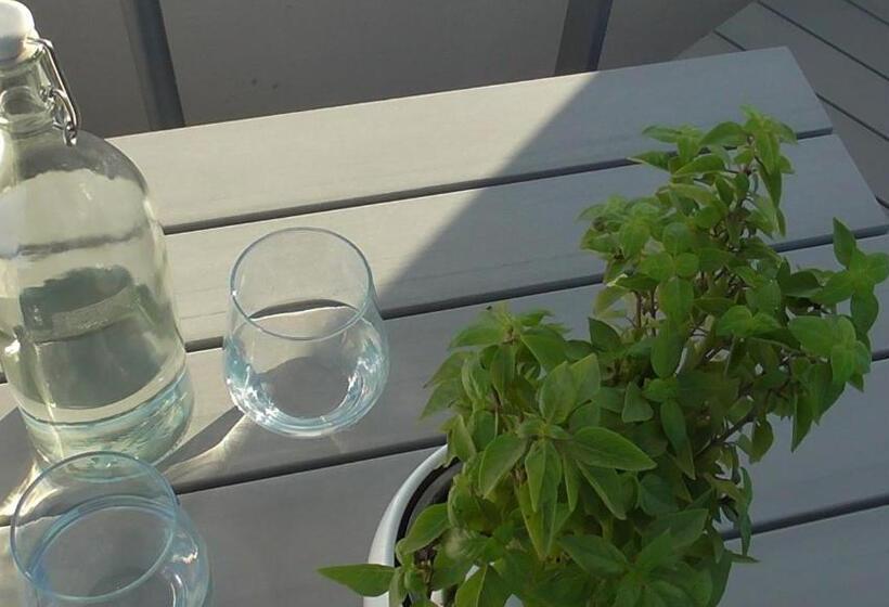 Standardzimmer mit Poolblick, Daylight