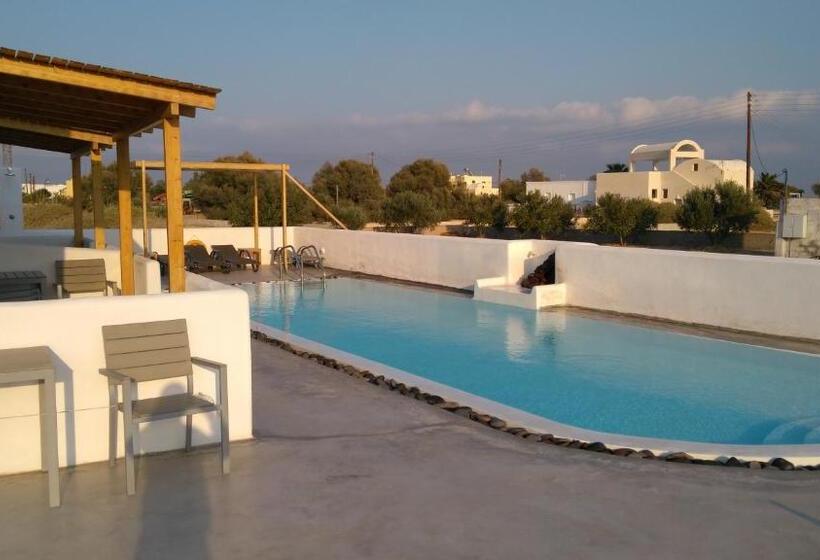 Standardzimmer mit Poolblick, Daylight