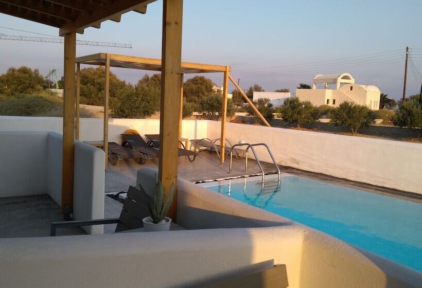 Standardzimmer mit Poolblick, Daylight