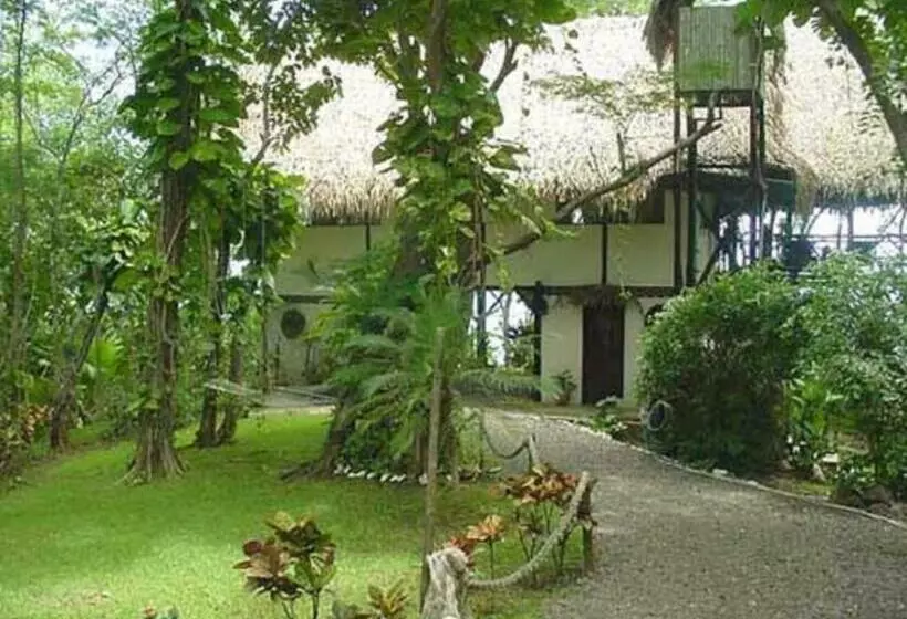 Standard-huone, Treetops Inn