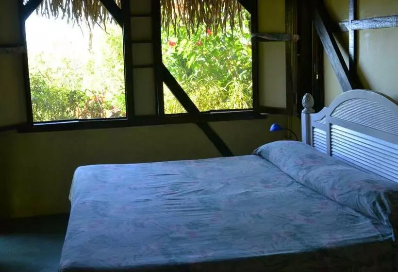 Standard-huone, Treetops Inn