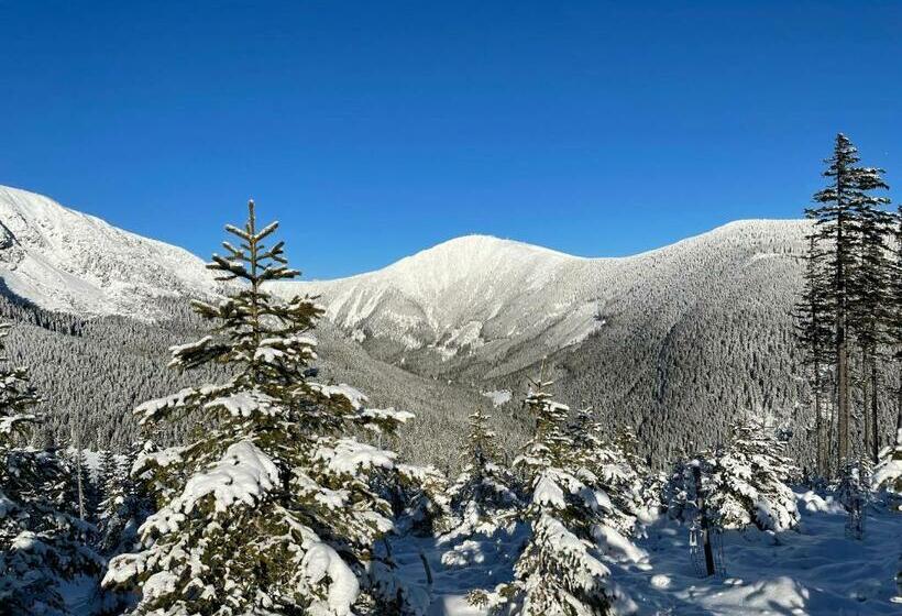 Standard Værelse, Děvín