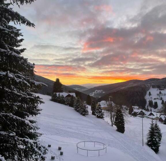 Standard Værelse, Děvín