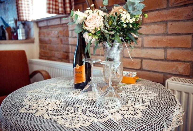 חדר סטודיו סטנדרד, Dvůr Pohody