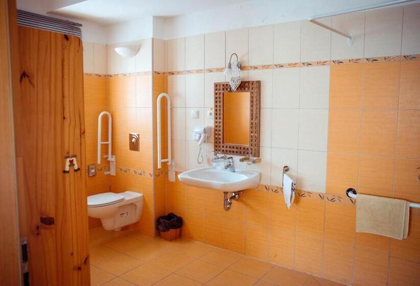 חדר סטודיו סטנדרד, Dvůr Pohody