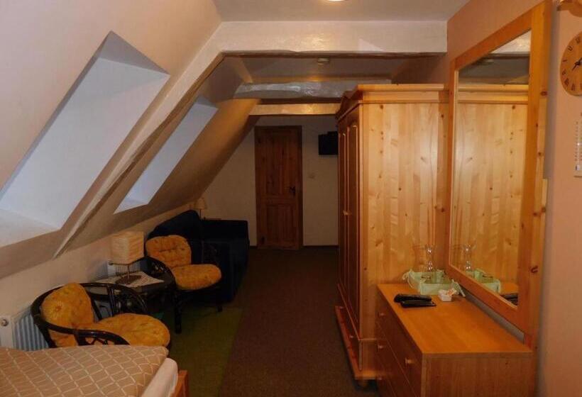 חדר סטנדרט יחיד, Dvůr Pohody