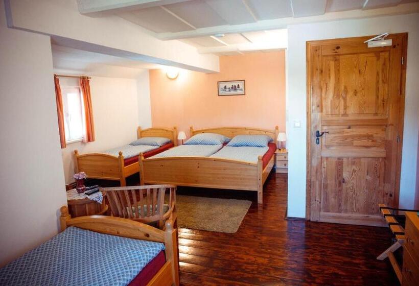 חדר סטנדרט לארבעה, Dvůr Pohody