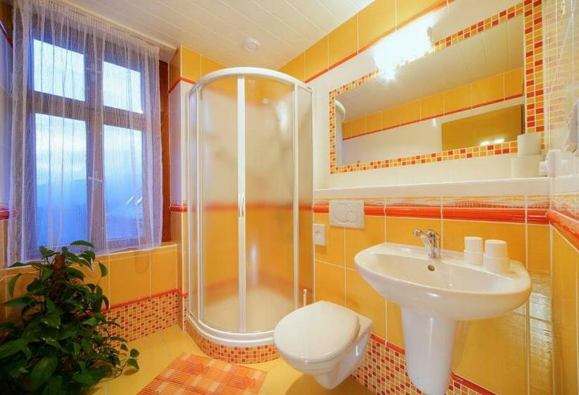 חדר סטנדרט, Elisabeth Pension