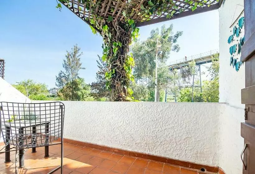 اتاق سوپریور, La Casa De Tin Tin