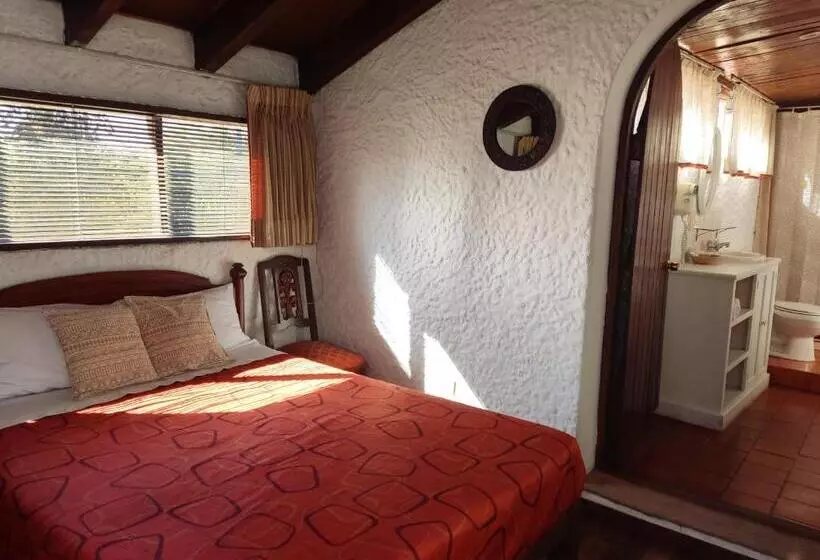 اتاق استاندارد, La Casa De Tin Tin