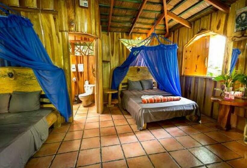 Бунгало Стандарт, La Costa De Papito